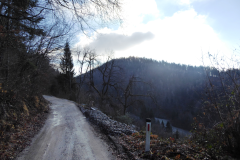 7_P8030695-