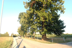P7190056